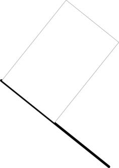 White flag vector image