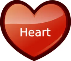 Vector illustration of red heart