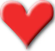 Vector drawing of heart