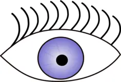 Eye vector graphics