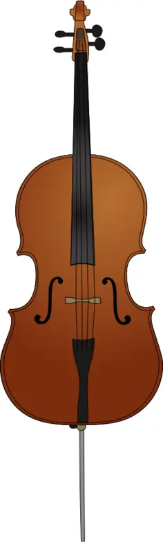 Cello vector image