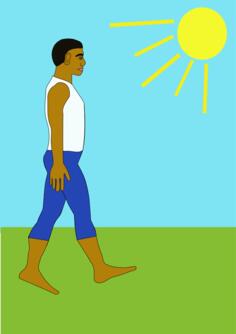 Walking in nature vector