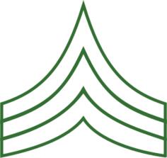 Sergeant insignia vector