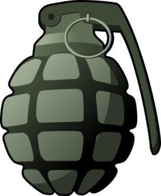 Hand grenade vector image