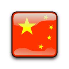 China vector button