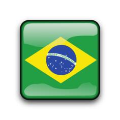 Glossy Brasil vector button