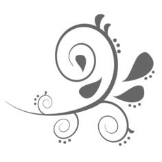 Paisley Curves VEctor