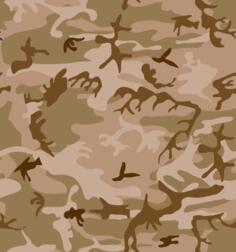 Desert Camo Print Vector