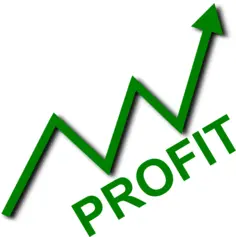 Profit Curve Vector