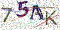 图形验证