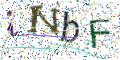 图形验证