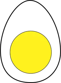 egg
