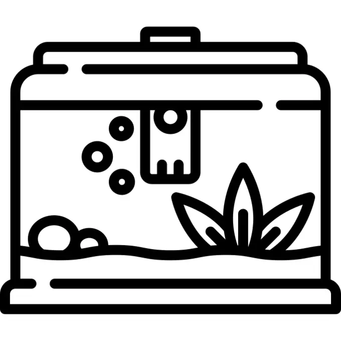 鱼缸