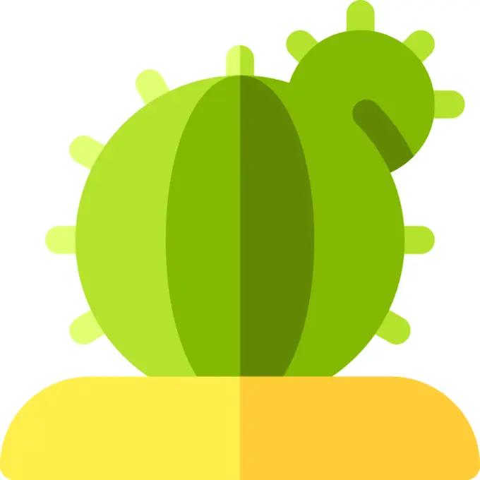 Cactus