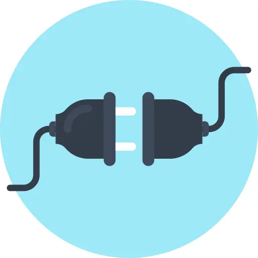 Plug