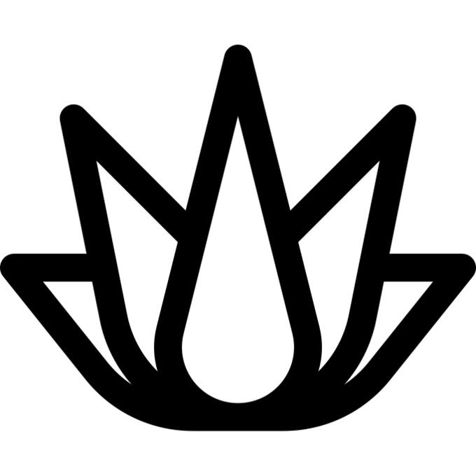 龙舌兰