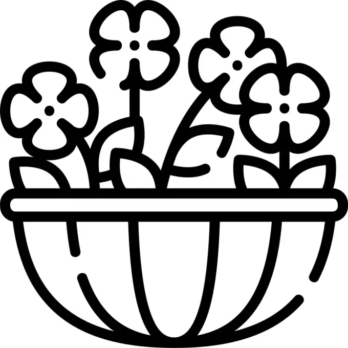 花卉