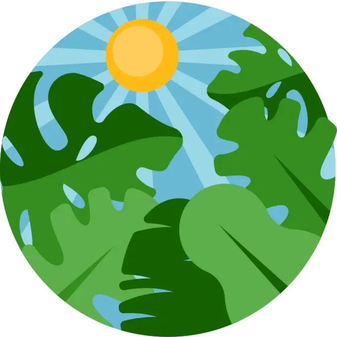 太阳