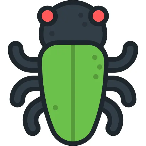 Insect