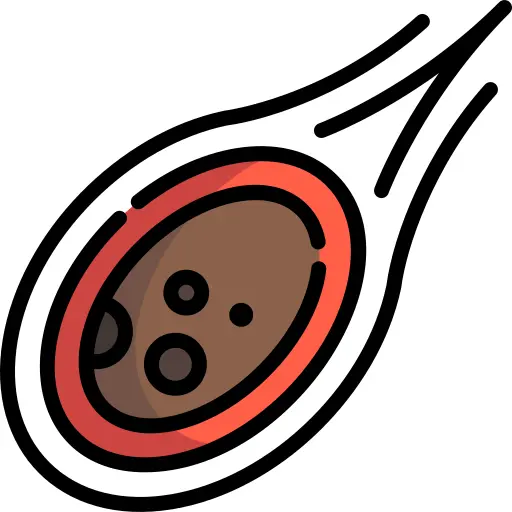 陨石