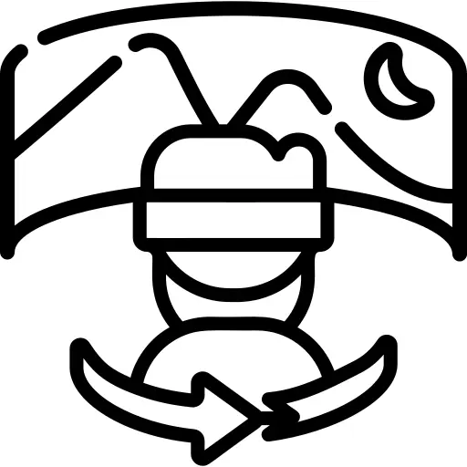 视野