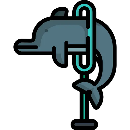 Dolphin