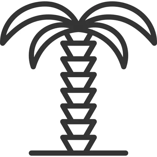 棕榈树