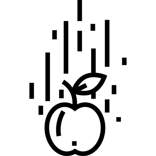 重力