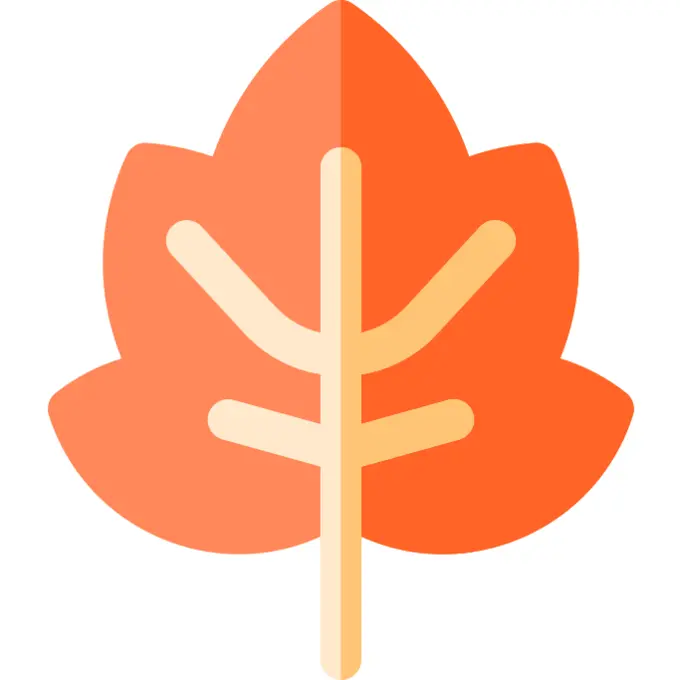 Leaf