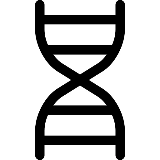 脱氧核糖核酸