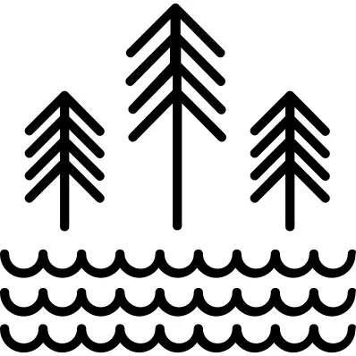树