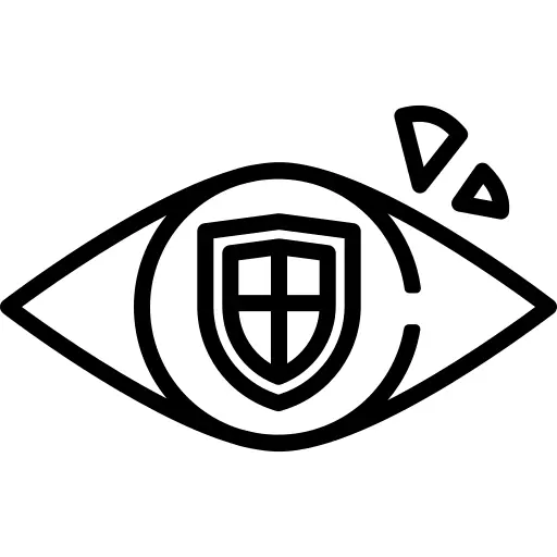 眼睛