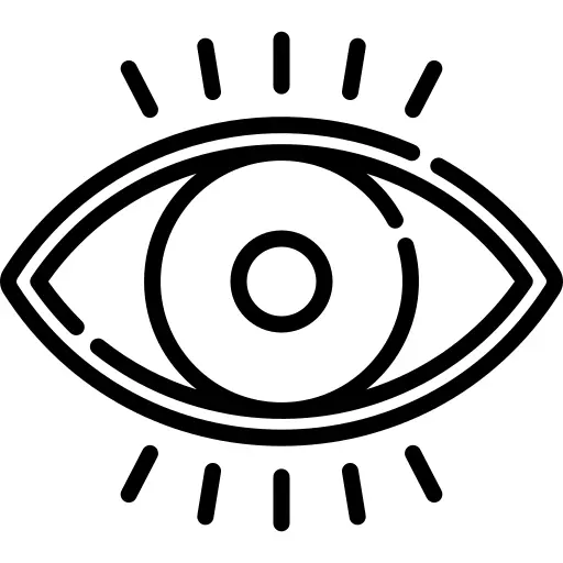 眼睛