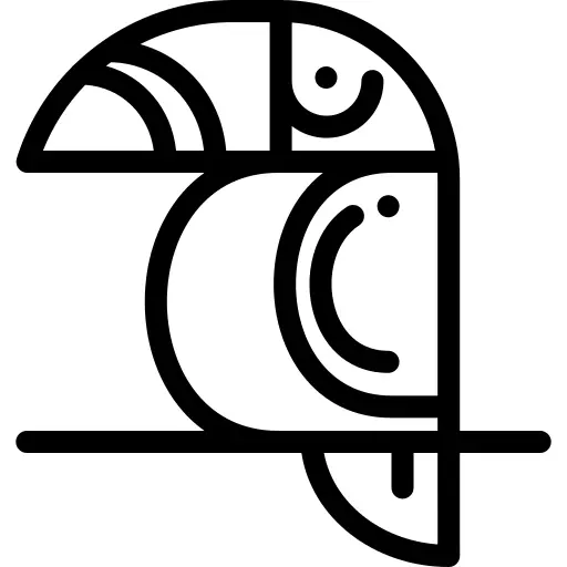 Toucan