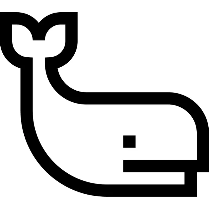 Cachalot