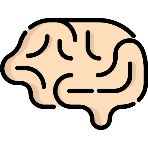 Brain