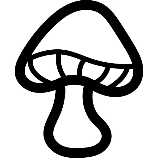 蘑菇