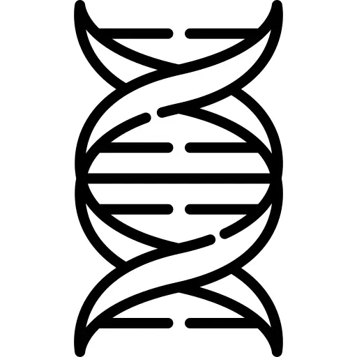 脱氧核糖核酸