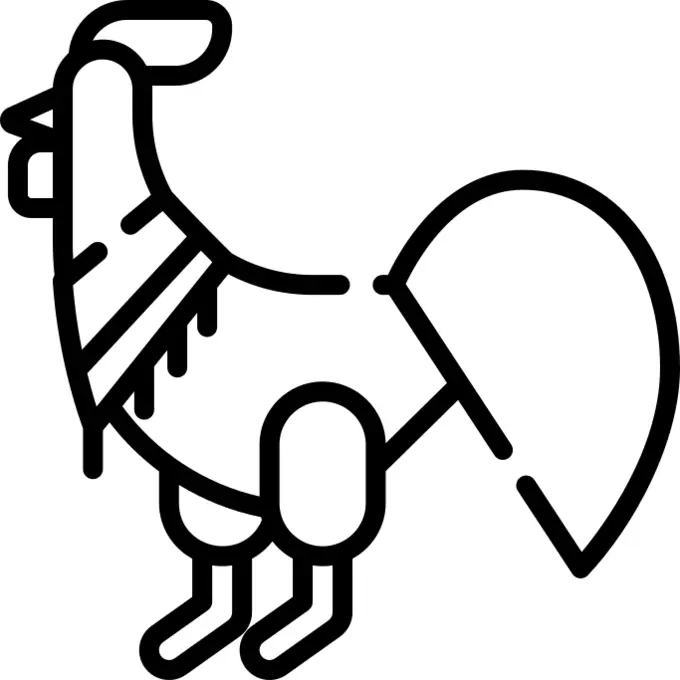 中国新年