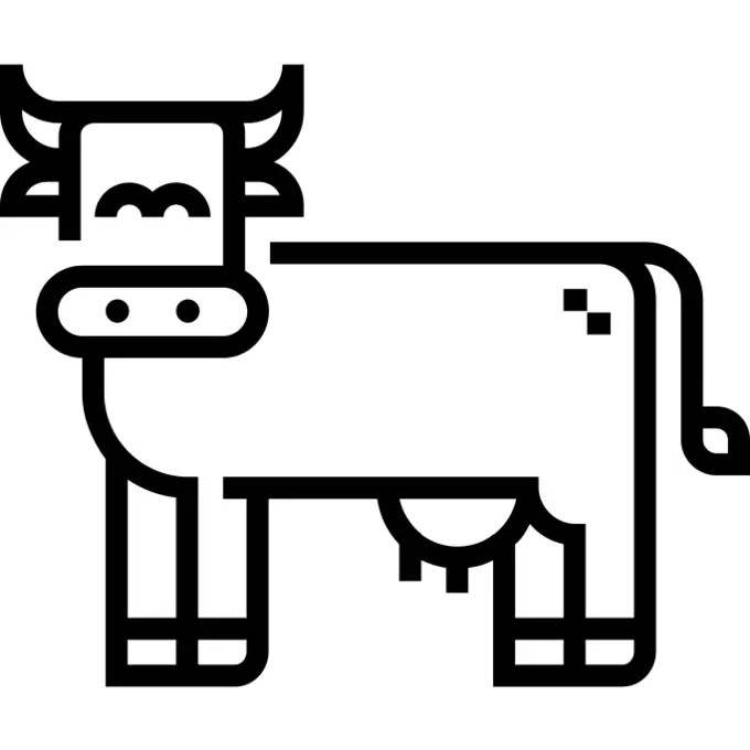 Cow