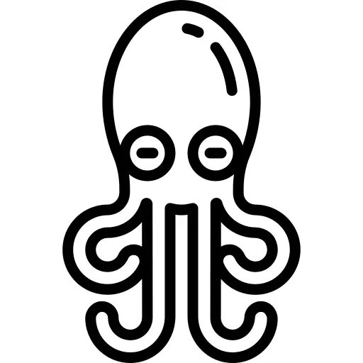 鲲