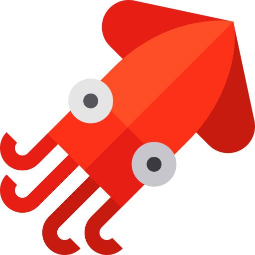 Squid