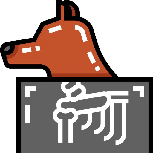 X射线