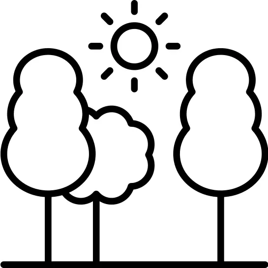 Woods