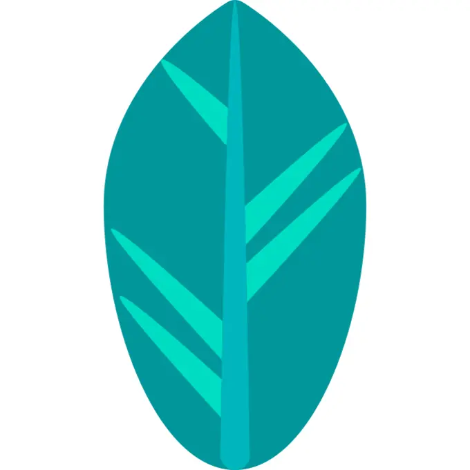 Leaf