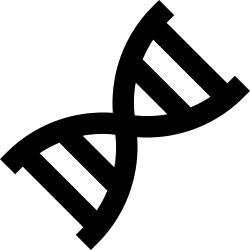 Dna