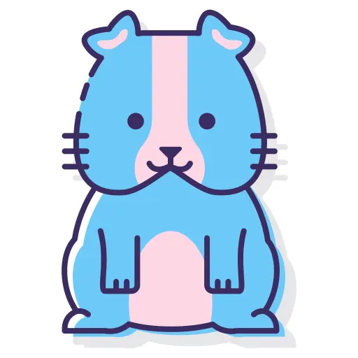 Guinea pig