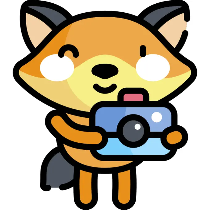 Photographer