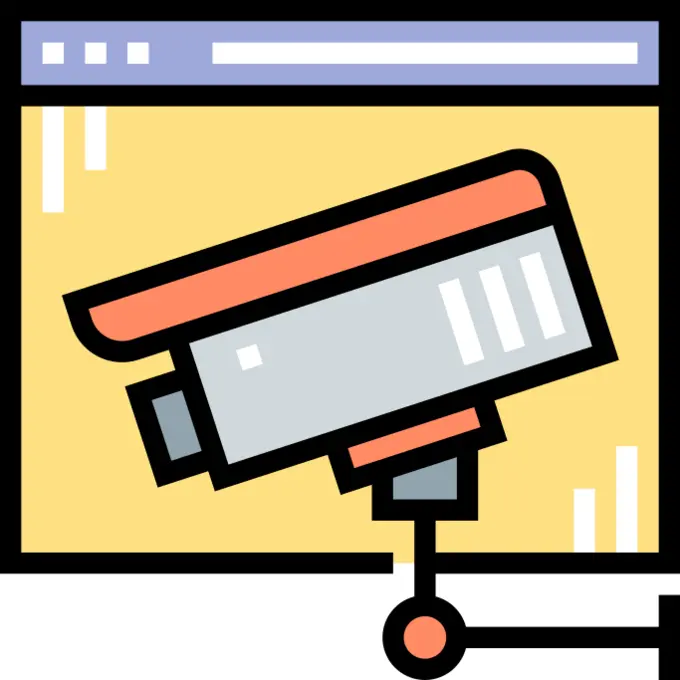 Web security