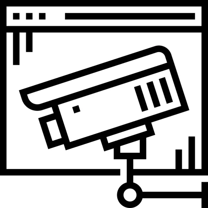 Web security